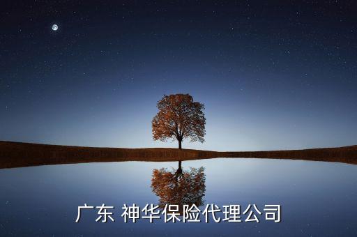 廣東 神華保險(xiǎn)代理公司