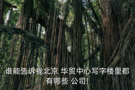 誰能告訴我北京 華貿中心寫字樓里都有哪些 公司!