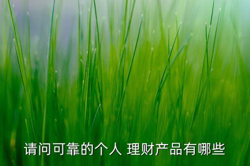 請(qǐng)問(wèn)可靠的個(gè)人 理財(cái)產(chǎn)品有哪些