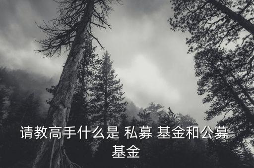 請(qǐng)教高手什么是 私募 基金和公募 基金