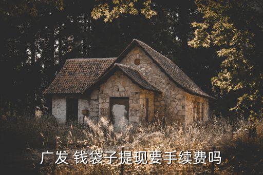 廣發(fā) 錢袋子提現(xiàn)要手續(xù)費嗎