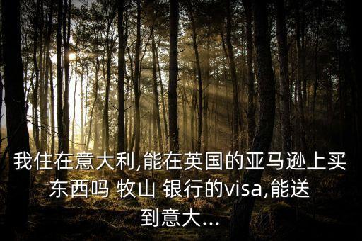 我住在意大利,能在英國的亞馬遜上買東西嗎 牧山 銀行的visa,能送到意大...