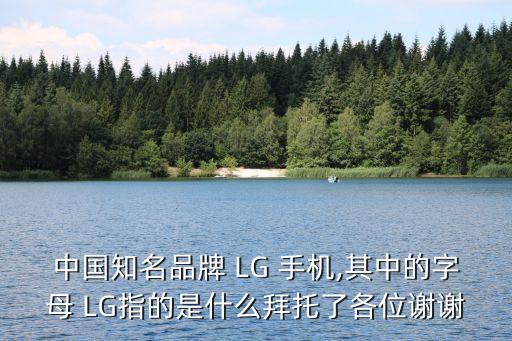 中國知名品牌 LG 手機(jī),其中的字母 LG指的是什么拜托了各位謝謝