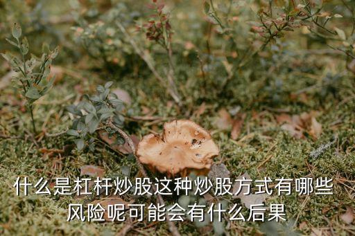 什么是杠桿炒股這種炒股方式有哪些 風(fēng)險呢可能會有什么后果