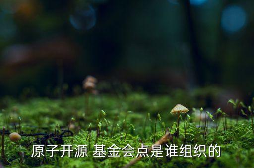 原子開源 基金會(huì)點(diǎn)是誰(shuí)組織的