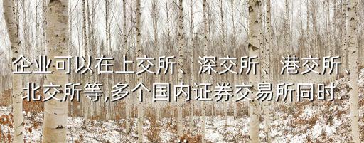 企業(yè)可以在上交所、深交所、港交所、北交所等,多個(gè)國(guó)內(nèi)證券交易所同時(shí)...