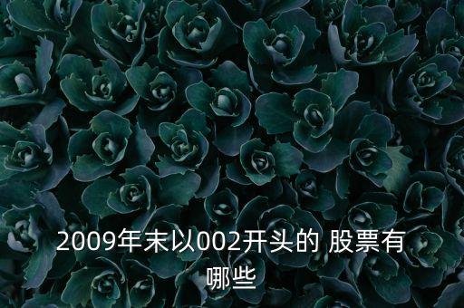 2009年末以002開頭的 股票有哪些