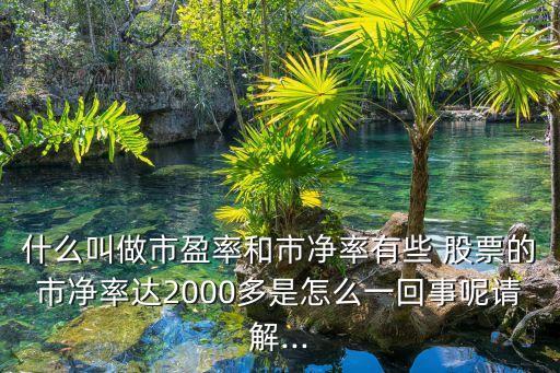 什么叫做市盈率和市凈率有些 股票的市凈率達(dá)2000多是怎么一回事呢請(qǐng)解...