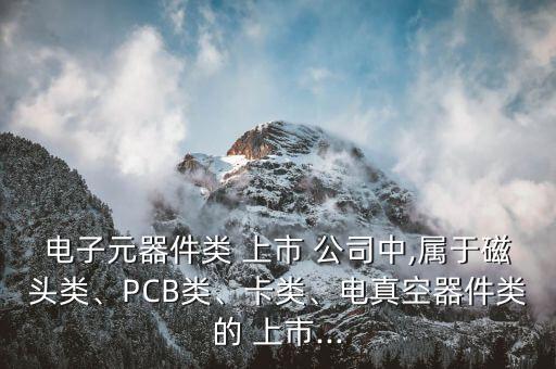 電子元器件類 上市 公司中,屬于磁頭類、PCB類、卡類、電真空器件類的 上市...