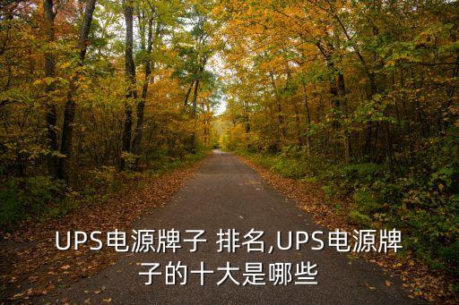 UPS電源牌子 排名,UPS電源牌子的十大是哪些