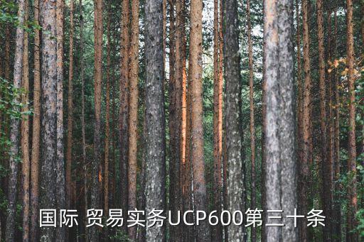 國際 貿(mào)易實(shí)務(wù)UCP600第三十條