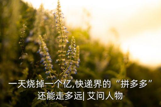 一天燒掉一個億,快遞界的“拼多多”還能走多遠(yuǎn)| 艾問人物