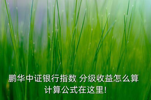 鵬華中證銀行指數(shù) 分級收益怎么算 計算公式在這里!