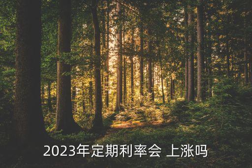 2023年定期利率會 上漲嗎