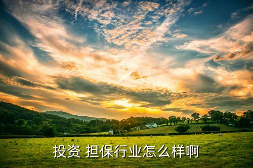 什么是融資擔(dān)?；?海南省融資擔(dān)?；鹩邢挢?zé)任公司