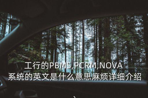 工行的PBMS,PCRM,NOVA 系統(tǒng)的英文是什么意思麻煩詳細(xì)介紹、