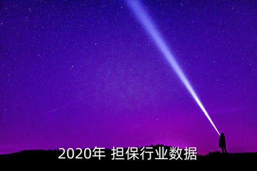 2020年 擔保行業(yè)數(shù)據(jù)