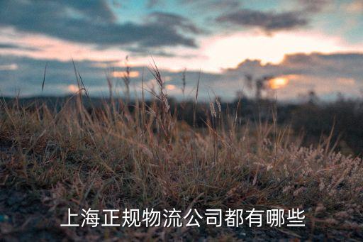  上海正規(guī)物流公司都有哪些