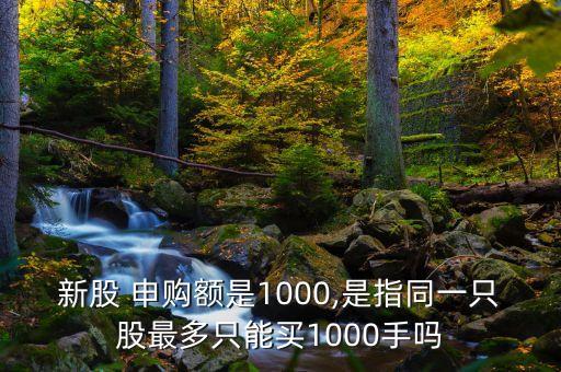 新股 申購(gòu)額是1000,是指同一只股最多只能買1000手嗎