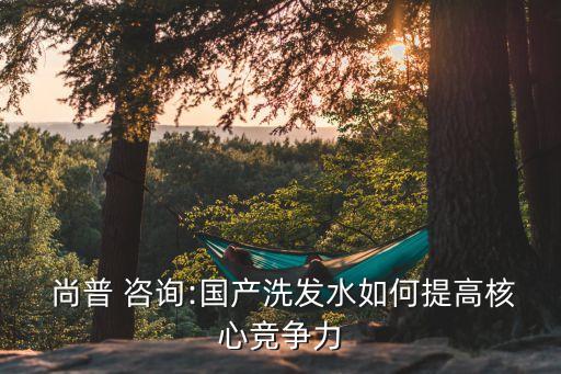  尚普 咨詢:國產(chǎn)洗發(fā)水如何提高核心競爭力