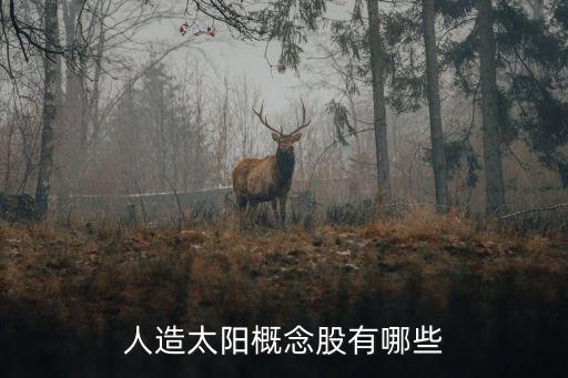 人造太陽(yáng)概念股有哪些