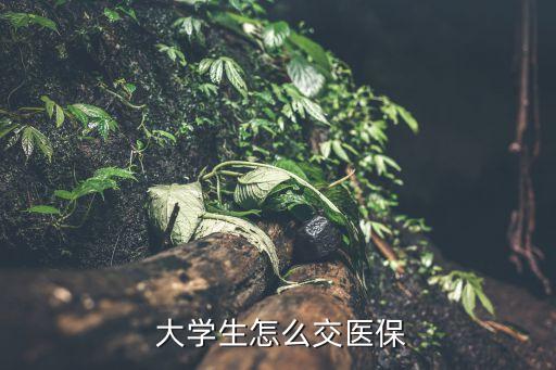  大學(xué)生怎么交醫(yī)保