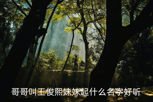 哥哥叫王俊熙妹妹起什么名字好聽(tīng)