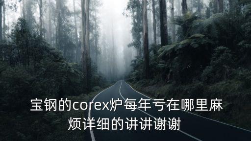  寶鋼的corex爐每年虧在哪里麻煩詳細(xì)的講講謝謝