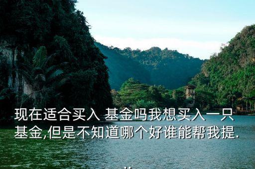 現(xiàn)在適合買入 基金嗎我想買入一只 基金,但是不知道哪個好誰能幫我提...