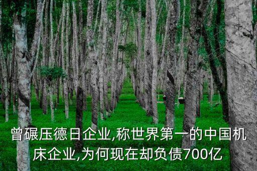 中國(guó)高科市值空間,國(guó)軒高科未來市值空間