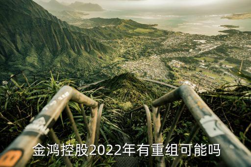  金鴻控股2022年有重組可能嗎