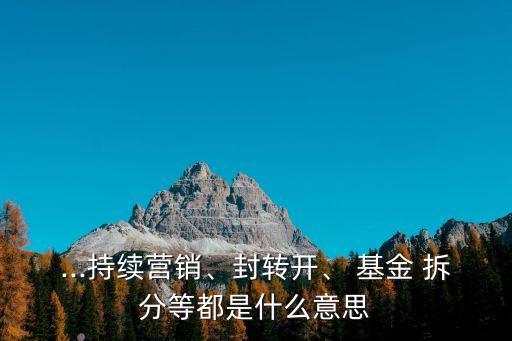 ...持續(xù)營(yíng)銷、封轉(zhuǎn)開(kāi)、 基金 拆分等都是什么意思