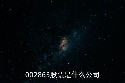 002863股票是什么公司