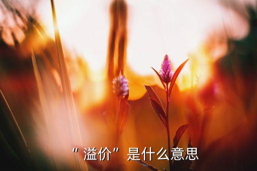 “ 溢價”是什么意思