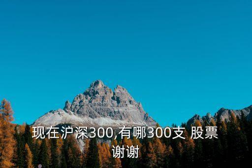 現(xiàn)在滬深300,有哪300支 股票謝謝