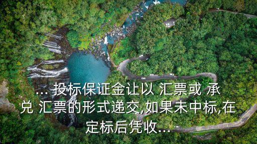 ... 投標保證金讓以 匯票或 承兌 匯票的形式遞交,如果未中標,在定標后憑收...