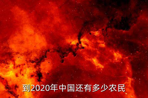 到2020年中國(guó)還有多少農(nóng)民