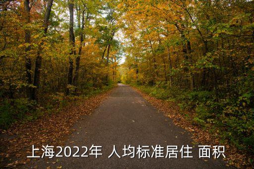 上海2022年 人均標(biāo)準(zhǔn)居住 面積