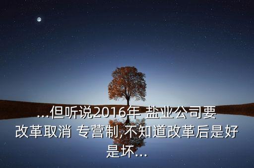 ...但聽說2016年 鹽業(yè)公司要改革取消 專營(yíng)制,不知道改革后是好是壞...