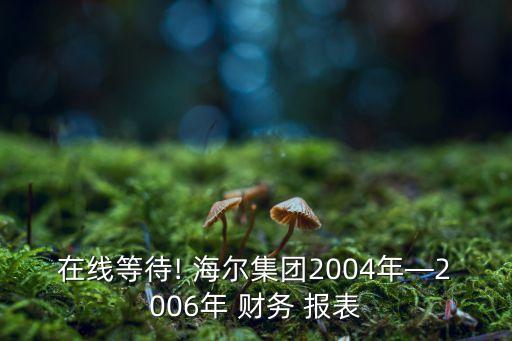 在線等待! 海爾集團(tuán)2004年—2006年 財(cái)務(wù) 報(bào)表