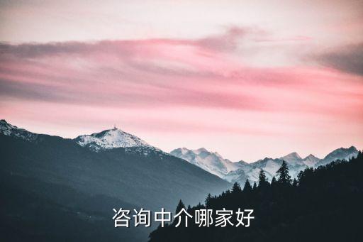  咨詢中介哪家好