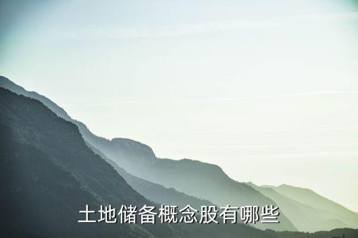 土地儲(chǔ)備概念股有哪些