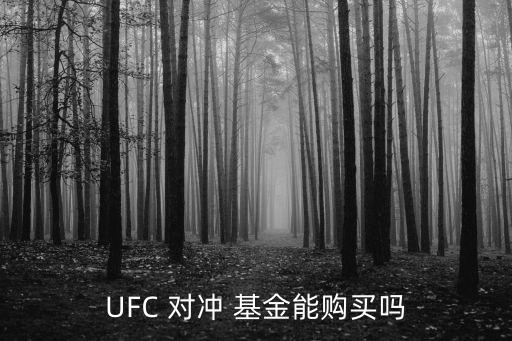 UFC 對(duì)沖 基金能購(gòu)買(mǎi)嗎