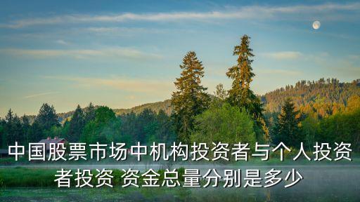 中國(guó)股票市場(chǎng)中機(jī)構(gòu)投資者與個(gè)人投資者投資 資金總量分別是多少