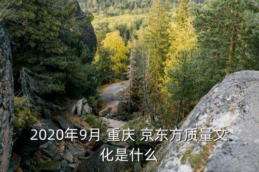 2020年9月 重慶 京東方質(zhì)量文化是什么