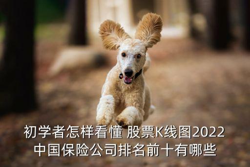 初學者怎樣看懂 股票K線圖2022中國保險公司排名前十有哪些