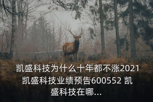  凱盛科技為什么十年都不漲2021 凱盛科技業(yè)績(jī)預(yù)告600552 凱盛科技在哪...