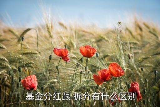  基金分紅跟 拆分有什么區(qū)別