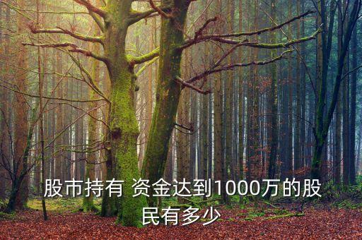  股市持有 資金達(dá)到1000萬(wàn)的股民有多少