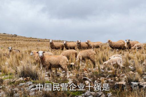 海量集團總資產,天元集團總資產多少億